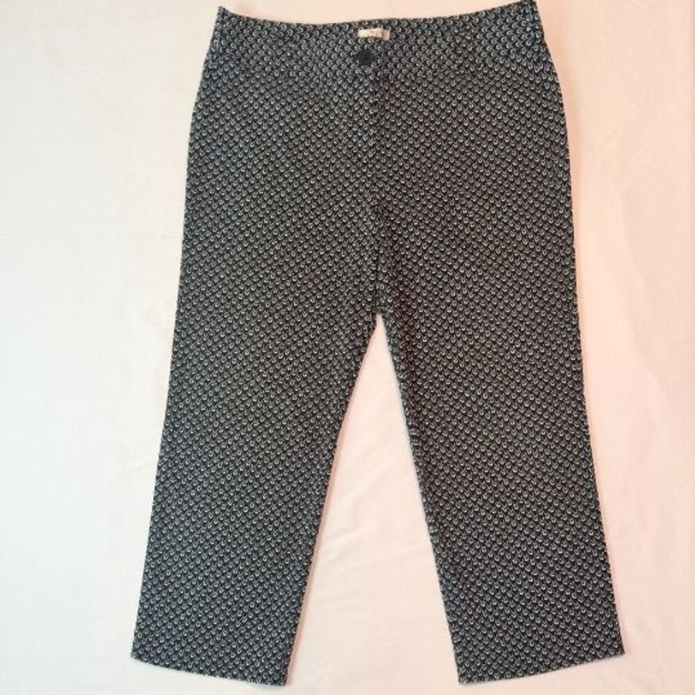 Ann Taylor LOFT pants size XXL